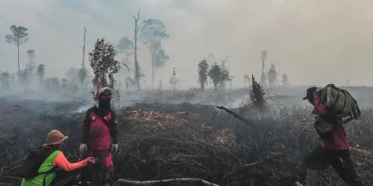 Karhutla Muaro Jambi Meningkat