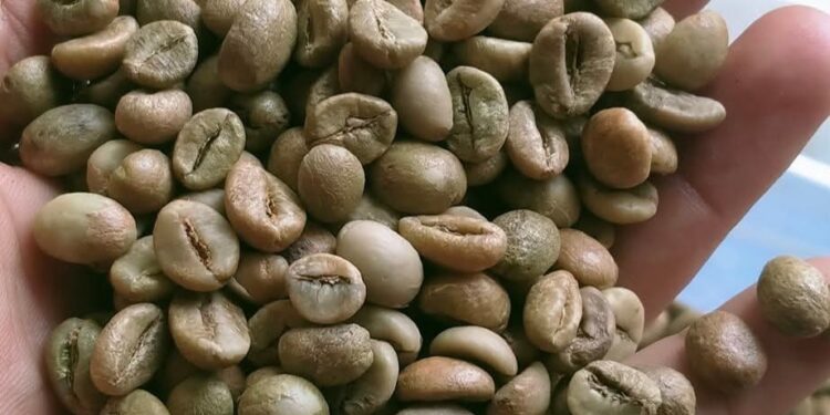 5 Negara Penghasil Kopi Terbesar di Dunia