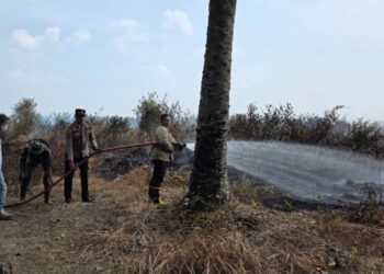 Karhutlah di Muaro Jambi