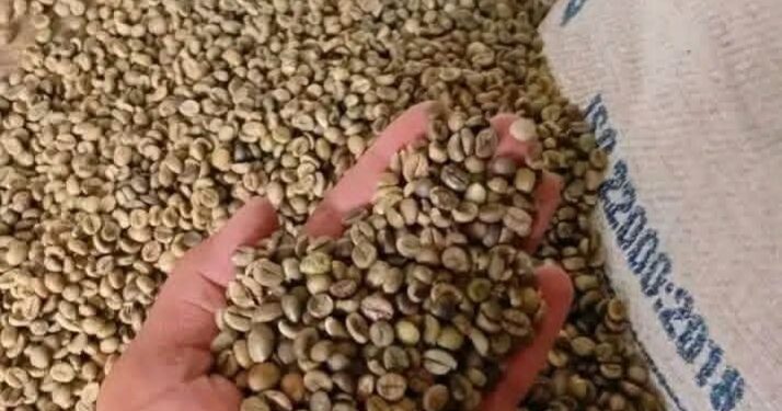 Harga Kopi Dunia Tertekan