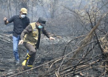 Karhutla Masih Membara di Muaro Jambi