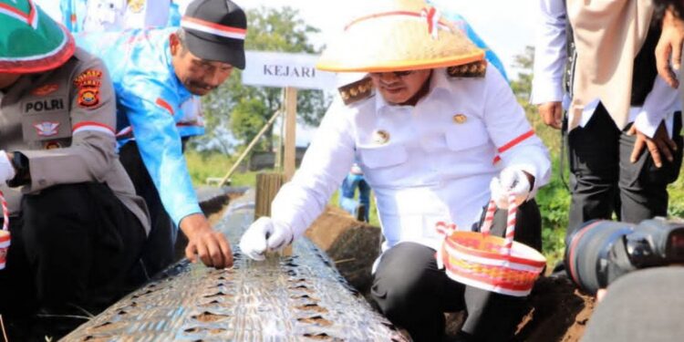 Wako Alfin Ikut Sukseskan Penanaman Bawang Putih