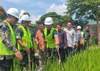 Lahan Rawa Dioptimalisasikan