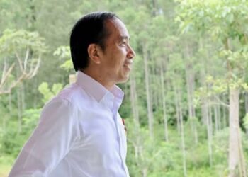 UGM Bersedia Buka Dokumen Akademik Jokowi, Ada Syaratnya