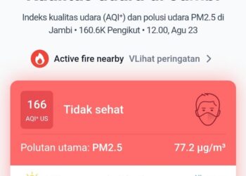 Kualitas Udara di Kota Jambi Tidak Sehat