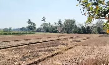 Kementan Siapkan Bantuan untuk Pulihkan Lahan Pertanian Korban Gempa NTT