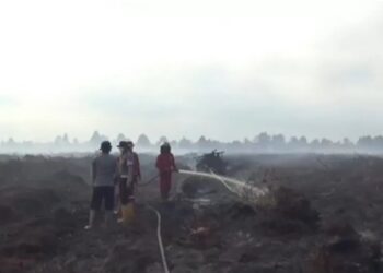 873 Personel Polda Jambi Dikerahkan untuk Bantu Penanganan Karhutla
