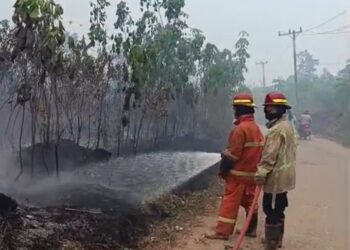 Karhutla Muaro Jambi