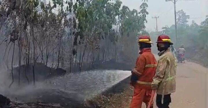 Karhutla Muaro Jambi