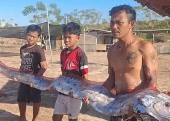 Ikan Aneh Mirip Samurai Panjang 4 Meter