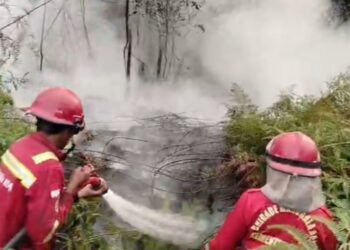 Karhutla di Tebo, Kawasan Hutan Produksi