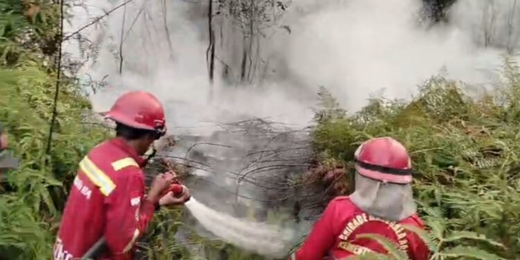 Karhutla di Tebo, Kawasan Hutan Produksi