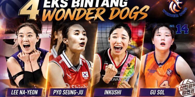 4 Bintang Wonder Dogs Absen Hadapi Hyundai Hillstate, Gu Sol Kini di Sisi Megawati