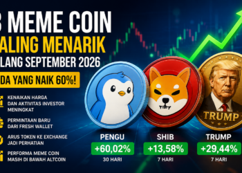 3 Meme Coin yang Jadi Sorotan
