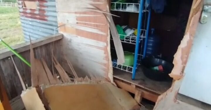 Warga Resah, Beruang Muncul dan Rusak Pondok