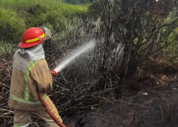 Dua Titik Api Menyala di Desa Niaso Muaro Jambi