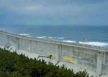 Tembok Laut dan Sabuk Hijau Jepang Jadi Upaya Mitigasi Tsunami