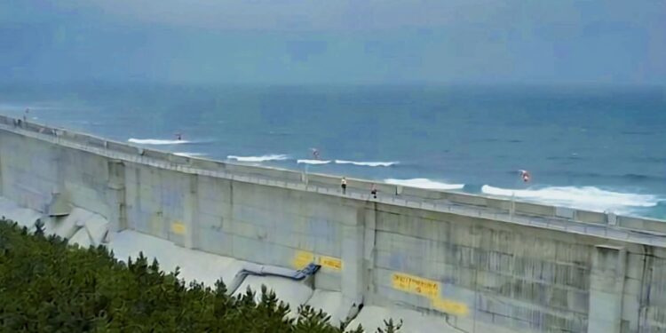 Tembok Laut dan Sabuk Hijau Jepang Jadi Upaya Mitigasi Tsunami