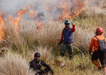 Karhutla Kembali Terjadi Bromo