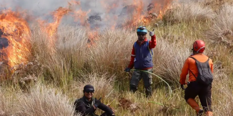Karhutla Kembali Terjadi Bromo