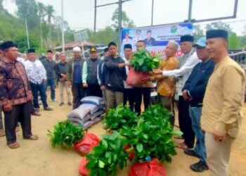 Wako Alfin Serahkan Ribuan Bibit Kopi di Desa RKE