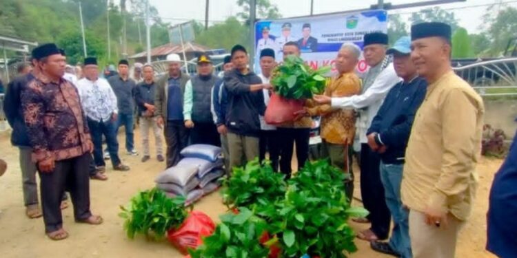Wako Alfin Serahkan Ribuan Bibit Kopi di Desa RKE