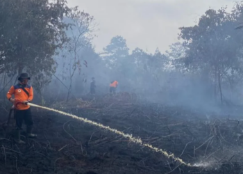 Pemerintah Pusat Tambah Anggaran Rp30 Miliar penanganan Karhutla di Jambi