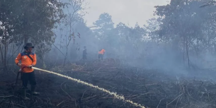 Pemerintah Pusat Tambah Anggaran Rp30 Miliar penanganan Karhutla di Jambi