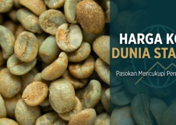 Global Coffee Prices Hold Steady as Vietnam’s Robusta Exports Surge