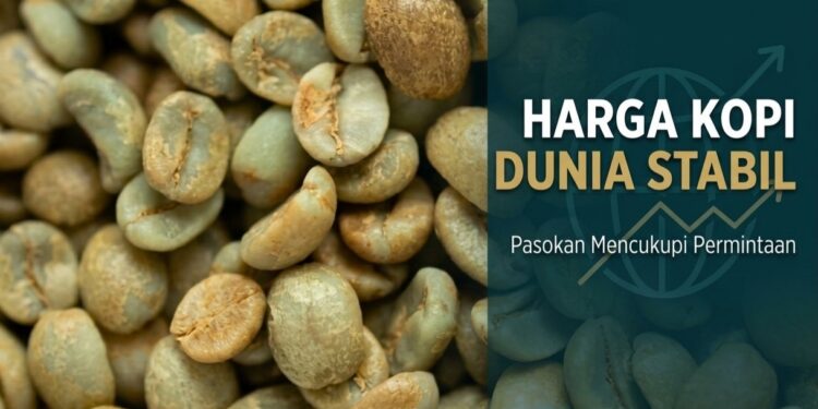 Global Coffee Prices Hold Steady as Vietnam’s Robusta Exports Surge