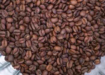 Ekspor Kopi Brasil Melonjak