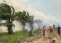 Puluhan Hektare Lahan di Sungai Aur Muaro Jambi Terbakar