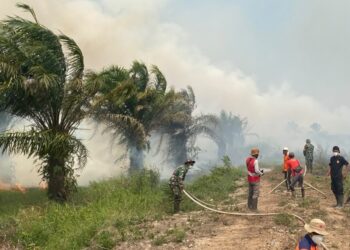 Puluhan Hektare Lahan di Sungai Aur Muaro Jambi Terbakar