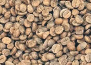 Harga Kopi Futures