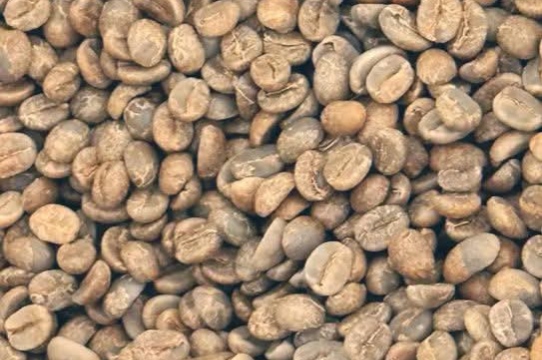 Harga Kopi Futures