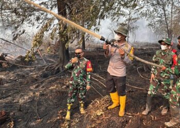 Polda Jambi Cek Karhutla di HLG Londerang