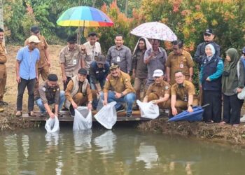 Wawako Azhar Hadiri Penaburan Benih Ikan Nila Hitam