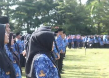 Guru Honorer Berpeluang Jadi PNS dan PPPK