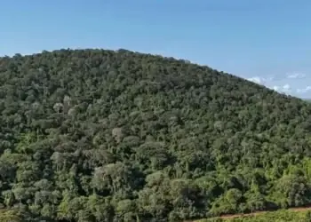 AS dan China Bersaing Dapatkan Mineral Tanah
