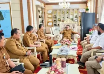 Rencana Pembangunan Flyover Sungai Penuh-Tapan