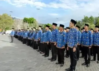 Gaji PPPK Disepakati Beralih ke Pusat 
