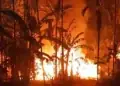 Satu Unit Rumah Warga di Tangkit Muaro Jambi Ludes Terbakar