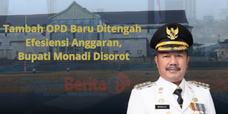Tambah OPD Baru Ditengah Efesiensi Anggaran