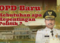 Usulan OPD Baru, Murni Kebutuhan Atau Hanya Akomodir Janji Politik? 