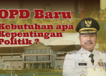 Usulan OPD Baru, Murni Kebutuhan Atau Hanya Akomodir Janji Politik? 