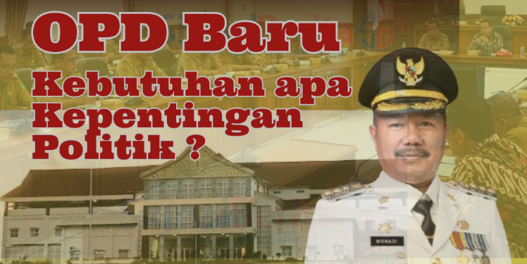 Usulan OPD Baru, Murni Kebutuhan Atau Hanya Akomodir Janji Politik?