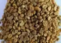 Harga Kopi Diawal Oktober 2026