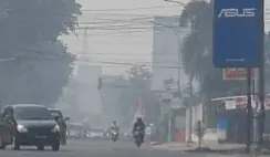 Pemkab Muaro Jambi Perbolehkan ASN Hamil WFH