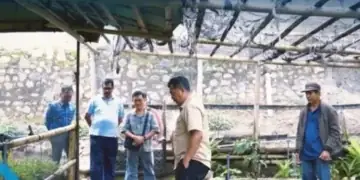 Prospek Tanaman Makin Menjanjikan