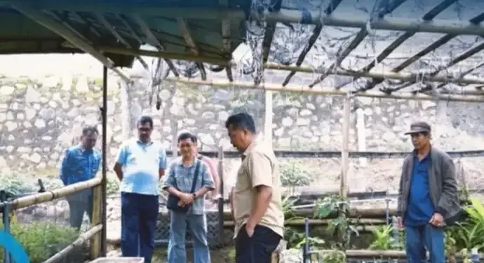 Prospek Tanaman Makin Menjanjikan
